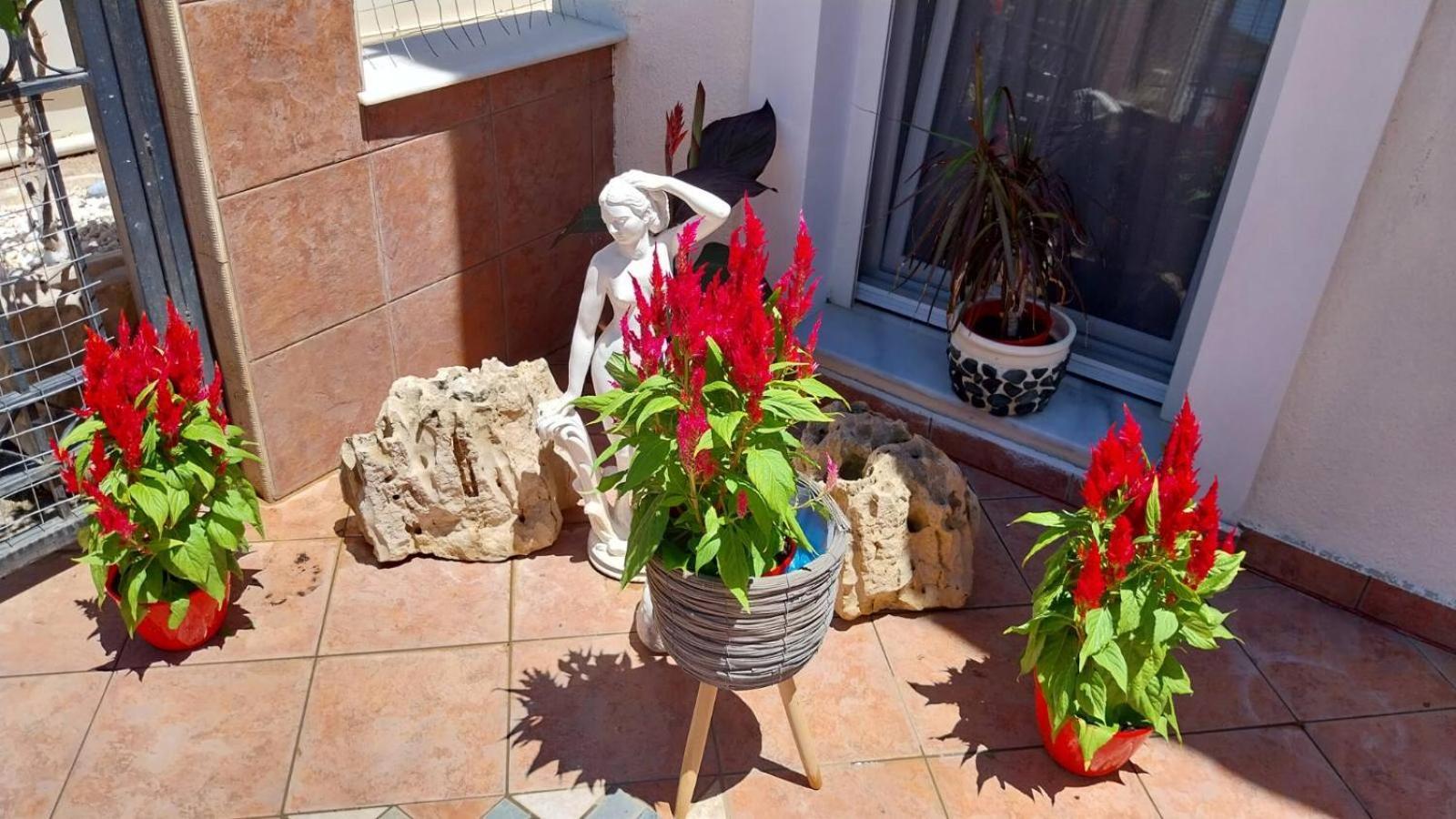 Apartment Ariadnis *